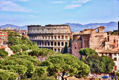 Trees and colosseum in rome against sky