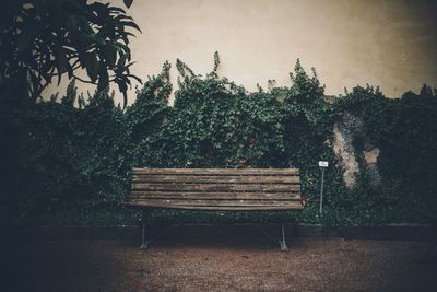 Empty bench by plants against sky