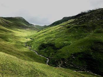 Scenic view of green landscape against sky