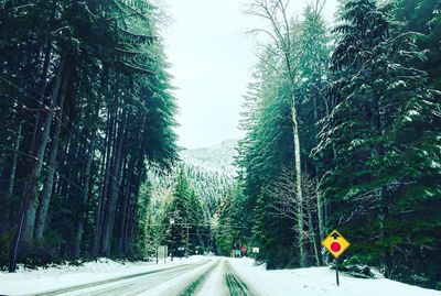 Road amidst trees against sky