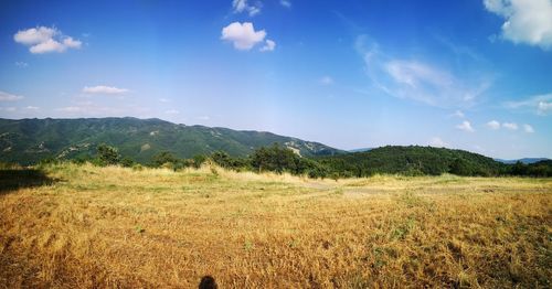 Scenic view of field against sky