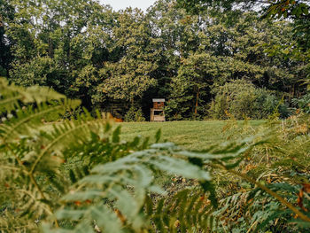 A wooden observation post for hunters on meadow near forest