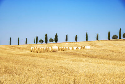 Hay bales on field against clear sky