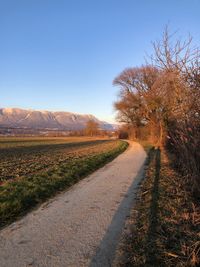 Dirt road amidst landscape against clear sky