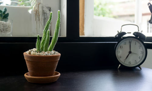 Close-up of alarm clock and potted plant on table