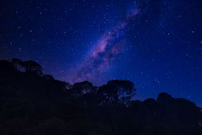 Low angle view of silhouette trees against sky at night