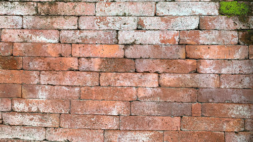 Full frame shot of brick wall