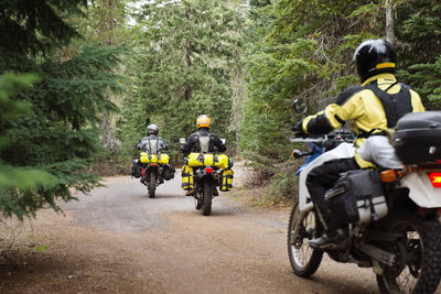 Rear view of men riding motorcycles on road amidst trees