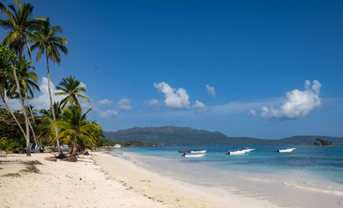 Scenic view of beach against blue sky