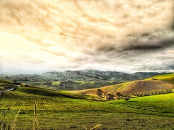 Scenic view of field against sky