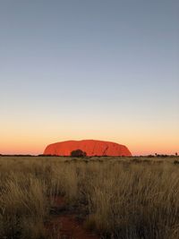 Scenic view of field against clear sky during sunset