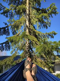 Low section of woman on hammock against trees