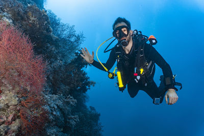 Diver exploring coral at the great barrier reef