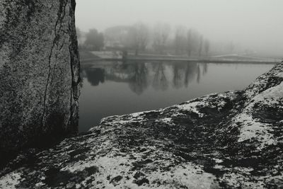 Reflection of trees in river