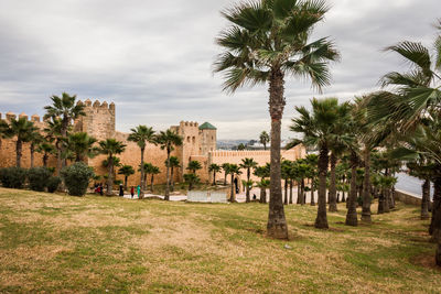 Panoramic shot of palm trees against sky