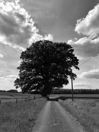 Dirt road leading towards tree amidst fields against sky