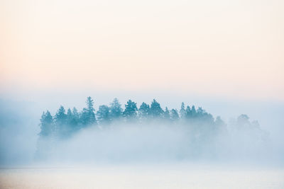 Mist on lake in morning light