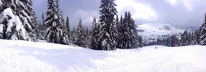 Scenic view of snow covered mountains