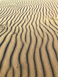 Full frame shot of sand dune