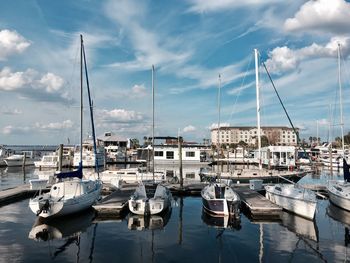 Sailboats moored in harbor