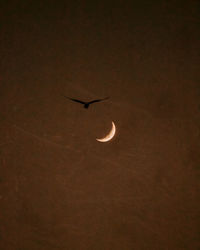 Low angle view of airplane flying against sky