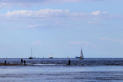 Sailboat sailing on sea against sky, boats