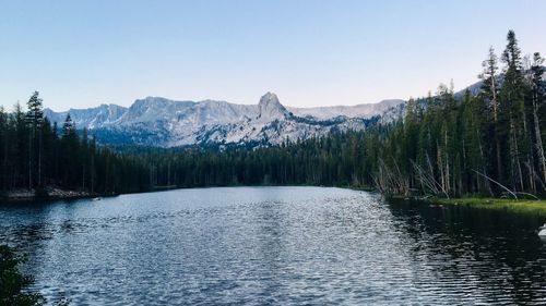 Scenic view of lake in forest against clear sky