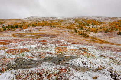 Scenic view of snow covered land against sky