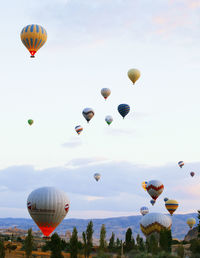 Hot air balloons flying against sky