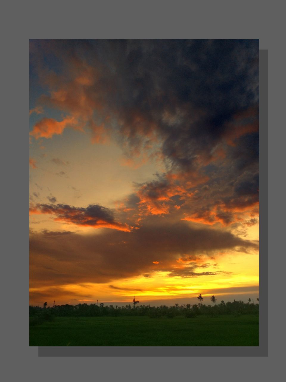 sunset, orange color, nature, scenics, dramatic sky, beauty in nature, tranquil scene, cloud - sky, tranquility, no people, sky, landscape, idyllic, field, outdoors, growth, grass, day