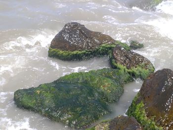 High angle view of rocks on beach