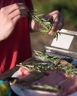 Midsection of person holding rosemary with pork chops on table