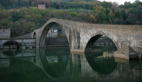 Arch bridge over river against trees