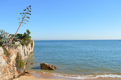 Scenic view of sea against clear sky