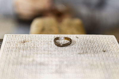 Close-up of seashell on table