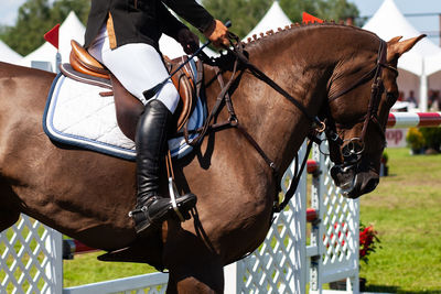 Horse jumping, equestrian sports themed photo.