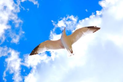 Low angle view of cloudy sky