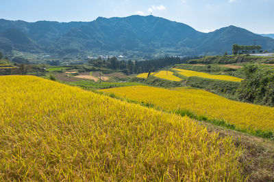 Scenic view of field against mountains