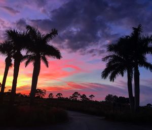 Silhouette palm trees against sky during sunset