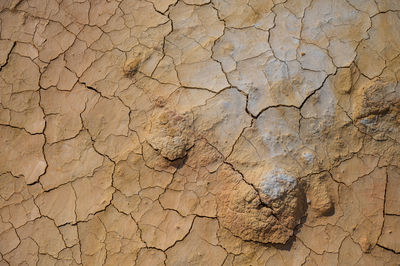 Cracked red clay. hot climate in the desert