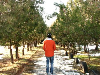 Full length rear view of man walking on tree