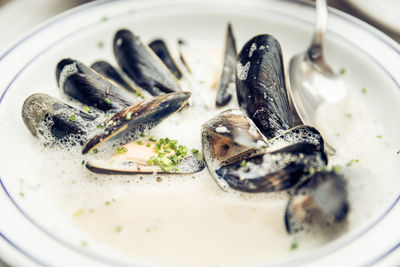 Close-up of clams in plate on table