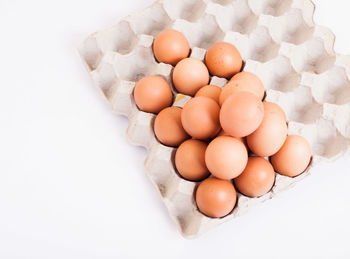 High angle view of eggs against white background