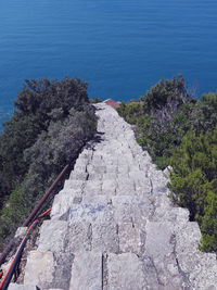 High angle view of plants by sea