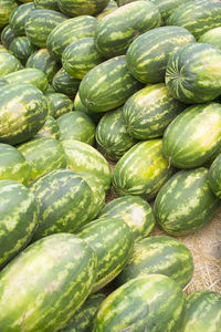 Full frame shot of watermelons for sale in market