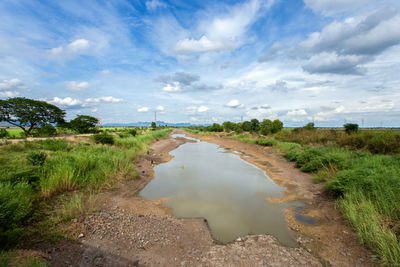 Scenic view of landscape against sky