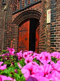 Flowers in front of building