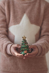 Midsection of person holding christmas tree