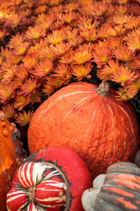 Full frame shot of orange pumpkins for sale at market