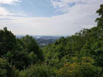 High angle view of trees and plants against sky